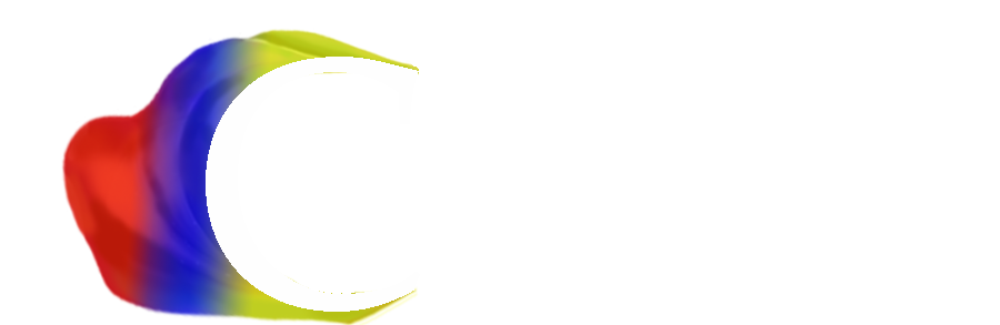 Tunic of Colors